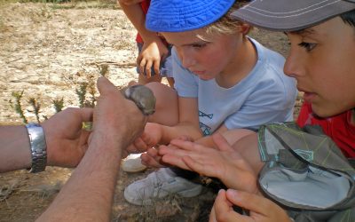 Oferta de Fundación Jove: talleres inclusivos extraescolares