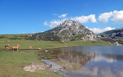 Medio Ambiente ratifica la entrega de más de 500 millones para inversiones en biodiversidad, agua y restauración medioambiental