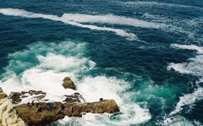 ‘Santander forthe Seas’, programa para recuperar y conservar mares y océanos dotado por Fundación Santander con 450.000 €