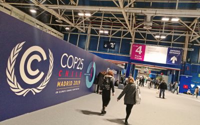 Una veintena de entidades financieras españolas sellan en la Cumbre una alianza contra el cambio climático