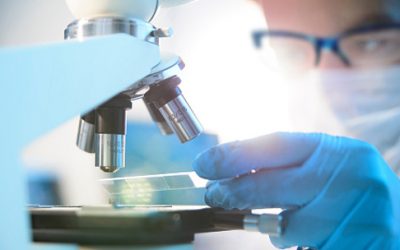 El Ministerio de Igualdad concede el distintivo ‘Igualdad en la Empresa’ a Bristol Myers Squibb
