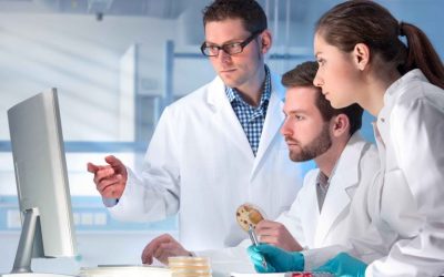 Ocho proyectos biomédicos del CSIC reciben 6,5 millones del programa de ayudas CaixaResearch
