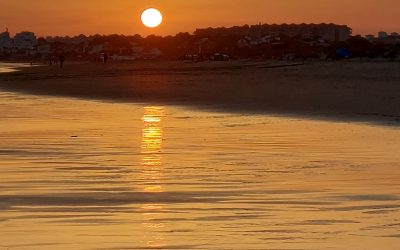 El impacto en la salud de las olas de calor y la influencia de la condición socioeconómica