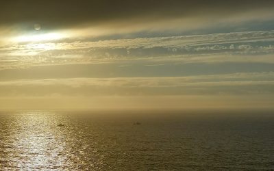 Fundación Mava y Ocean Stewardship Fund financian un estudio científico en Castellón para evaluar el impacto y sostenibilidad de la pesca de cerco