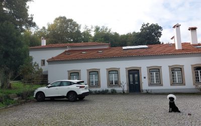 HomeExchange cumple 30 años: pasado, presente y futuro de una compañía en auge que cierra un intercambio cada dos minutos