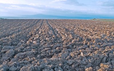 La mitad del suelo de la Tierra está seriamente degradado y en tres décadas se han perdido 420 millones de hectáreas de bosque por la deforestación