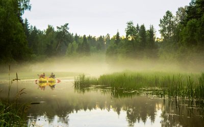 Estonia, un recorrido por la tradición y modernidad en el corazón del Báltico