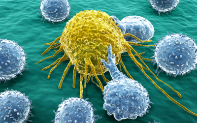 Inmuno-oncología y medicina de precisión contra el cáncer: Bristol Myers Squibb y la Universidad de Navarra ya han formado a 400 nuevos especialistas