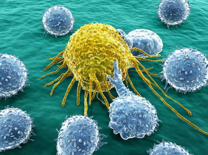 Inmuno-oncología y medicina de precisión contra el cáncer: Bristol Myers Squibb y la Universidad de Navarra ya han formado a 400 nuevos especialistas