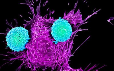 Bristol Myers Squibb’s Pioneering Journey in Cancer Immunotherapy: From Ipilimumab Discovery to Cutting-Edge Breakthroughs