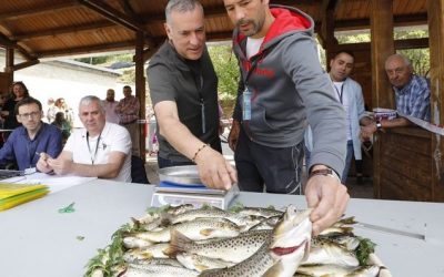 Respeto para la Festa da Troita de A Pontenova, por favor; un poco de respeto