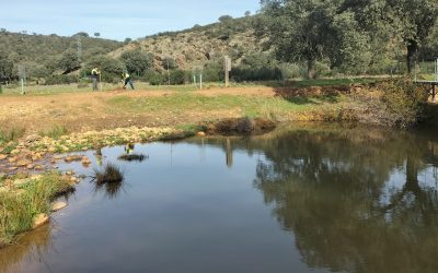 El programa Nestlé Waters impulsa la regeneración del ciclo hídrico y la recuperación de ecosistemas fluviales en Badajoz