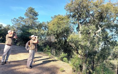 Biodiversidad y recuperación ambiental en los territorios del lince ibérico