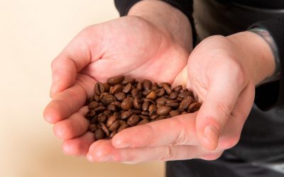 Nestlé amplía la capacidad de producción de energía verde de la caldera de biomasa desarrollada por Bioenergy Ibérica