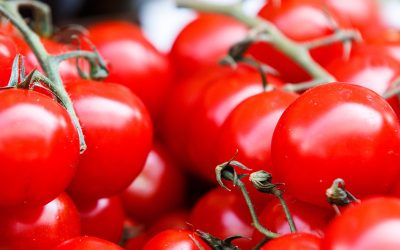 Solís presenta en Extremadura su plan de agricultura regenerativa en su 60 aniversario