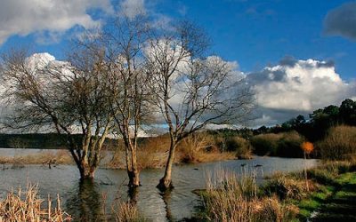 El futuro Humedal Viladesuso mejorará la calidad del agua del embalse que abastece la ciudad de A Coruña