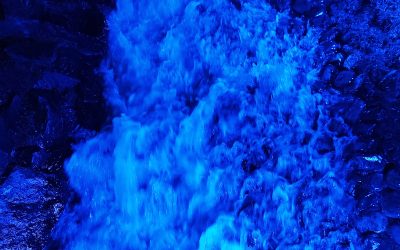 Alianza StepbyWater: «Hay que dejar de utilizar el agua como arma de confrontación política e ideológica»