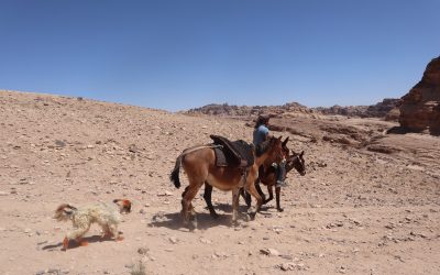 Cumbre del Clima: la Tierra se calentaría este siglo al menos dos grados más con las actuales políticas climáticas