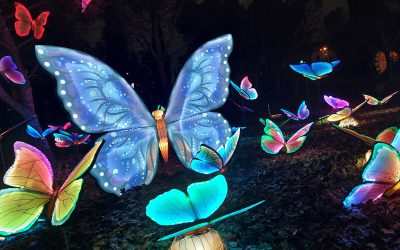 Esta Navidad… ¿por qué no hacer un regalo al medio ambiente?