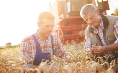 Mondelēz International invierte en la plataforma europea de agricultura regenerativa eAgronom