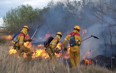 Cómo devolver la vida a un territorio herido