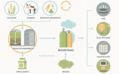 Naturgy conecta a la red su primera planta de biometano en Navarra, equivalente al consumo de 4.000 hogares